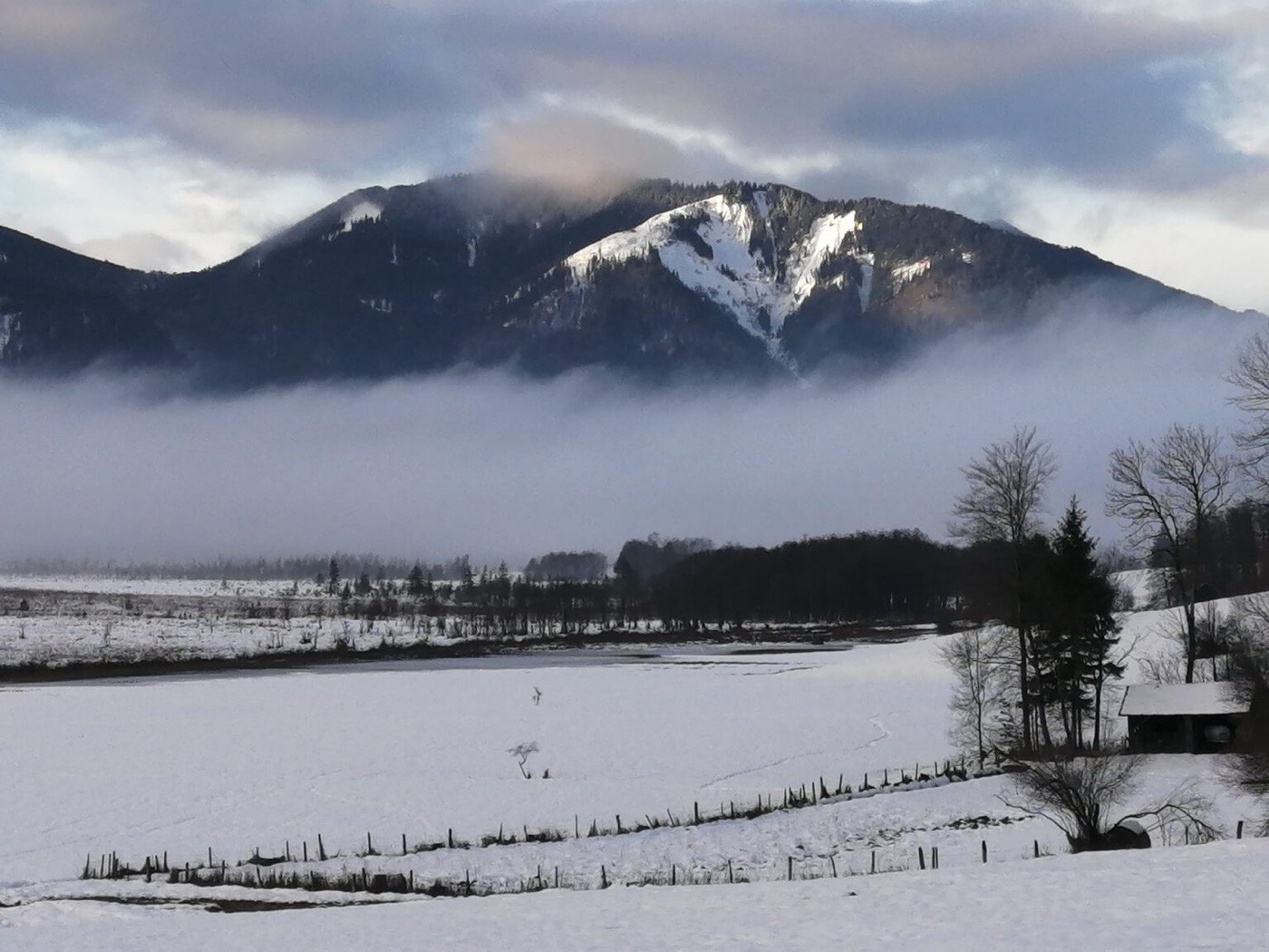 Verschneite bayerische Voralpenlandschaft mit Nebelband vor einem sonnenbeschienenen Berg